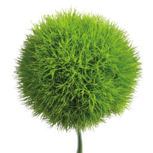 Art. GREEN TRICK