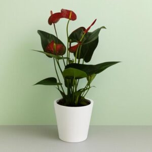 Art. AM0001  ANTURIUM MIX CON VASO CERAMICA