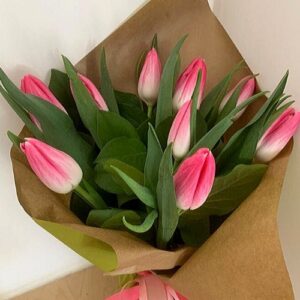 Art. MAZZO TULIPANI