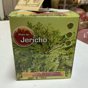 Art. ROSA DI JERICO