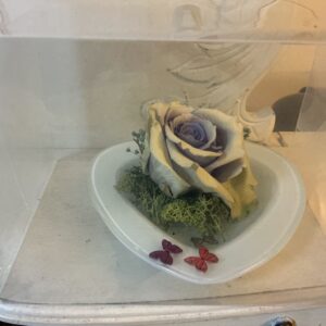 Art. ROSE STABILIZZATE CON CUORE IN VETRO