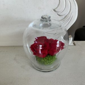 Art. ROSE STABILIZZATE CUPOLA VETRO GRANDE