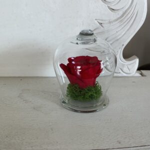 Art. ROSE STABILIZZATE CUPOLA VETRO PICCOLA