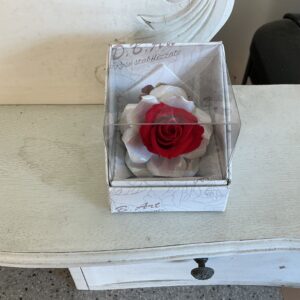 Art. ROSE STABILIZZATE NINFE CERAMICA MINI