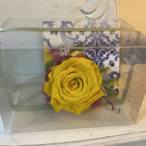Art. ROSE STABILIZZATE SICILIA