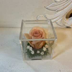 Art. ROSE STABILIZZATE SU SCATOLA RIGIDA SMALL