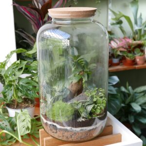Art. TERRARIUM BIG