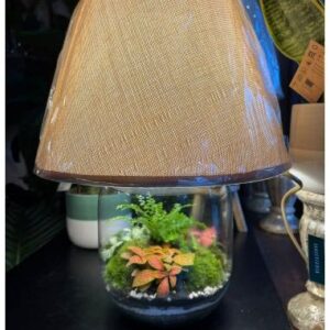Art. TERRARIUM LAMPADA LED