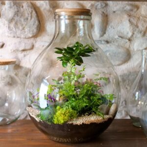 Art. TERRARIUM MAXI