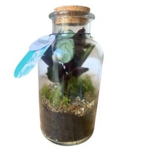 Art. TERRARIUM MINI