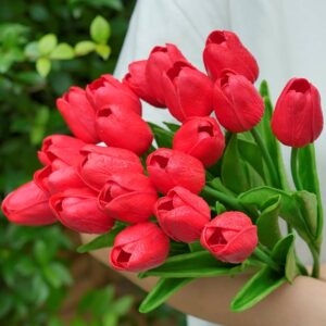 Art. TULIPANI ROSSI