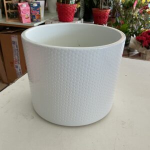 Art. VASO EVI DIAM18