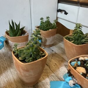 Art. VASO TERRACOTTA SUCCULENTE