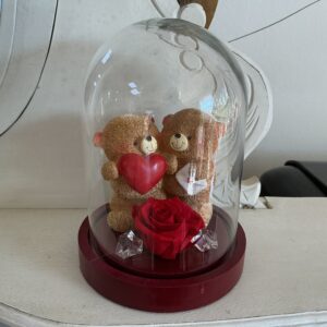 Art. COMP. ROSE STABILIZZATE CUPOLA ORSO