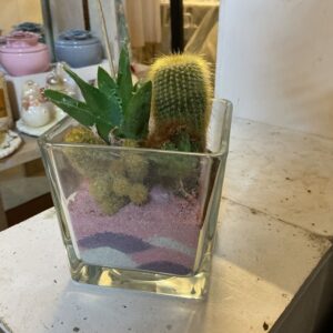 Art. COMPOSIZIONE PIANTE GRASSE CUBO IN VETRO