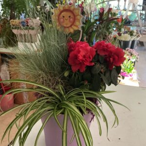 Art. COMPOSIZIONI PIANTE PRIMAVERA