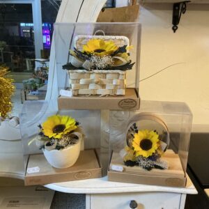 Art. GIRASOLI STABILIZZATI BIG