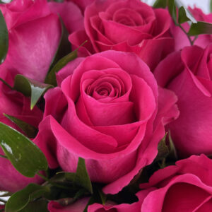 Art. A. ROSE FUCSIA