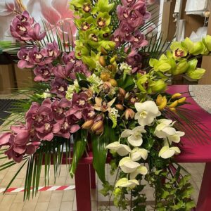 Art. A. CYMBIDIUM MIX