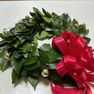 Art. C. CORONA DI LAUREA DA TESTA        ps se vuoi un colore del fiocco della tua fa
