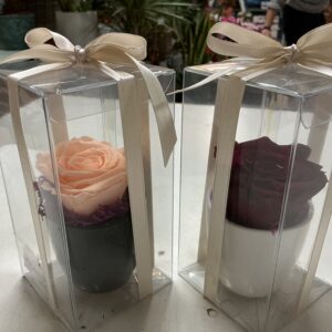 Art. ROSE STABILIZZATE BIANCO E NERO